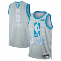 Air Jordan X NBA All Star Swingman Jersey - Gray- James 6 - Master