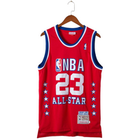 NBA All Star Swingman Jersey - Salsa Red/Very Berry - James 23 - Master