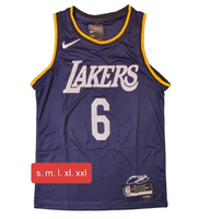 Lakers Navy Blue Signed - James 6 - Master