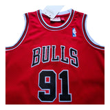 Bulls Red Jordan Hardwood Classic Edition - Rodman 91 - Master Quality