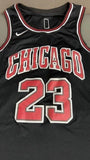 Bulls Black Edition (Single Tick)- Jordan 23 - Master Quality